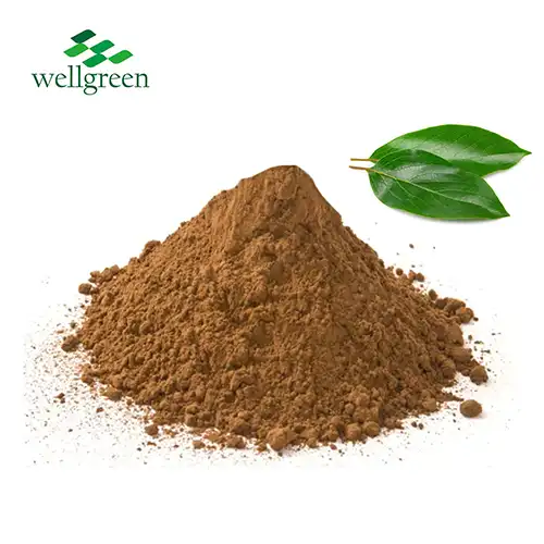 Persimmon Leaf Extract